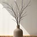 Modern minimalist interior with ceramic art, representing aesthetic appeal