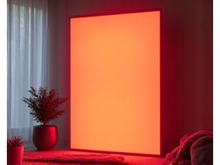 Large red light therapy panel for full-body treatment